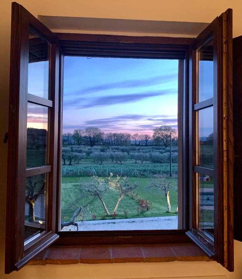 Opera Domini Asisium Bed & Breakfast Torchiagina ภายนอก รูปภาพ